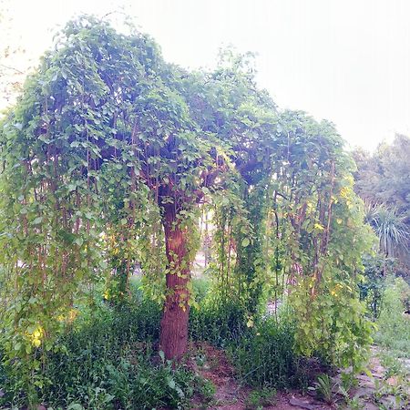 فيلا Casa Con Jardin Y Aparcamiento En Viznar, Junto A Granada المظهر الخارجي الصورة