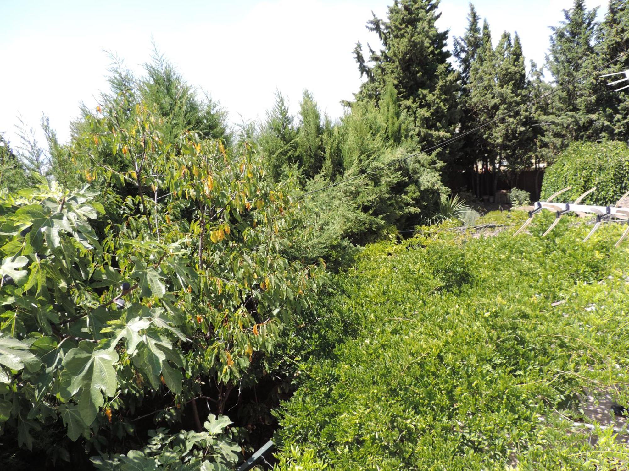 فيلا Casa Con Jardin Y Aparcamiento En Viznar, Junto A Granada المظهر الخارجي الصورة